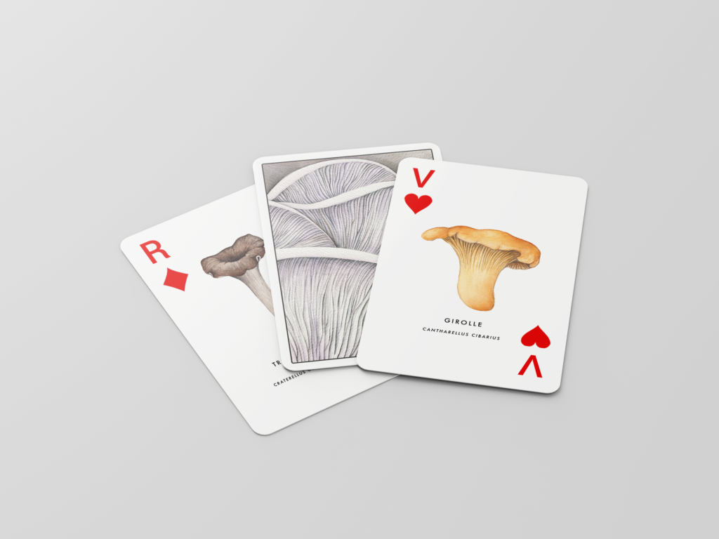 Illustration de champignons comestibles sur un jeu de carte